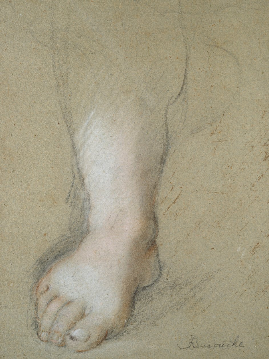 Studio di un piede da Federico Barocci