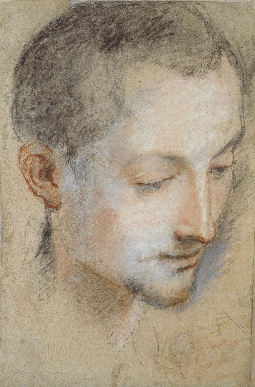 Studio della testa di un giovane uomo, fine XVI secolo da Federico Barocci