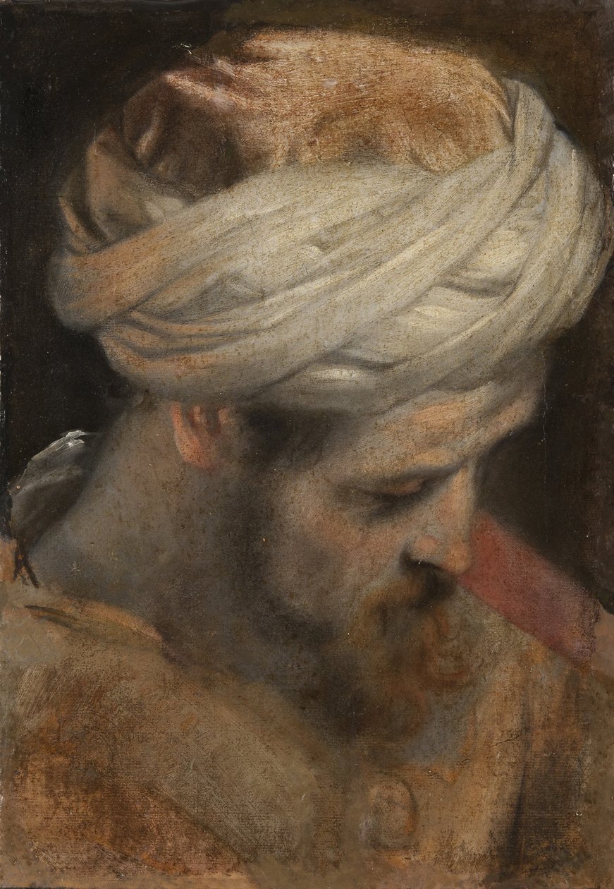 La testa di un sacerdote, studio per La circoncisione da Federico Barocci