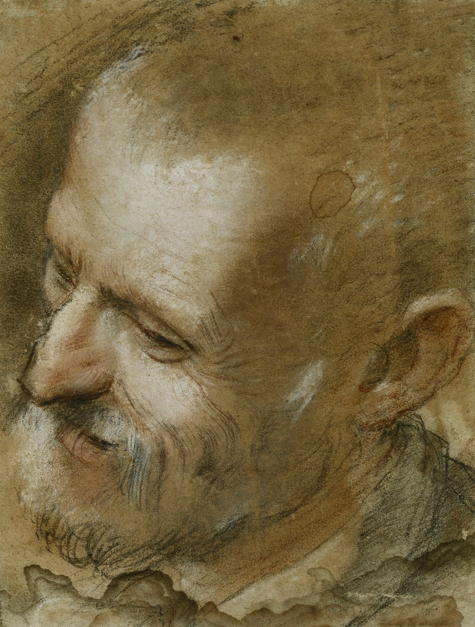 Studio della testa di un uomo barbuto girato a sinistra, 1590 da Federico Fiori Barocci or Baroccio