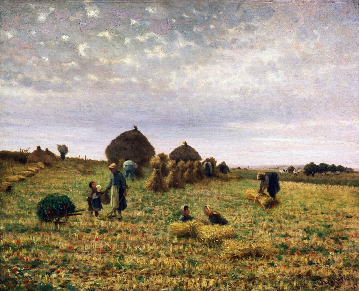 Raccolto da Federico Rossano