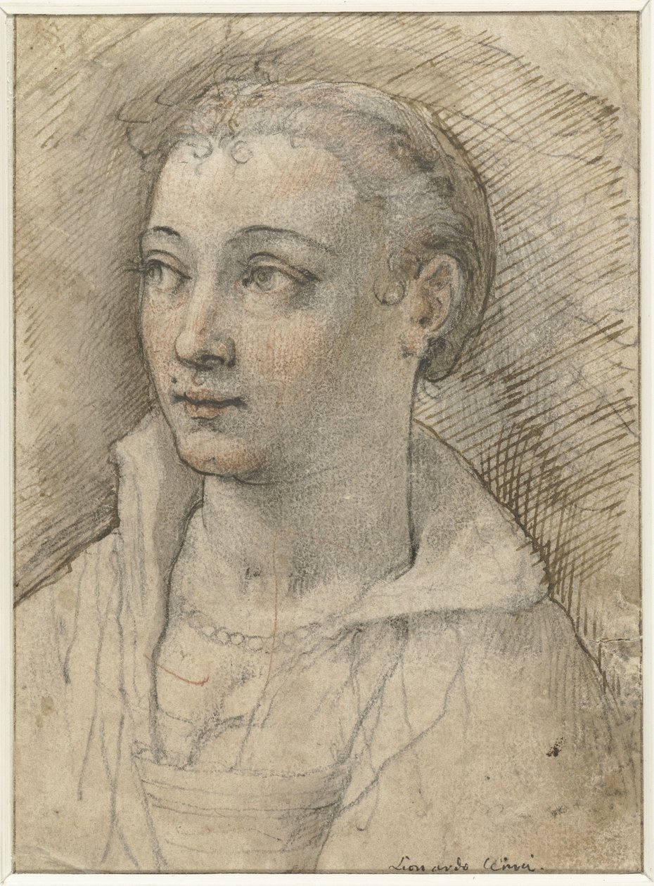 Ritratto di donna sconosciuta da Federico Zuccaro