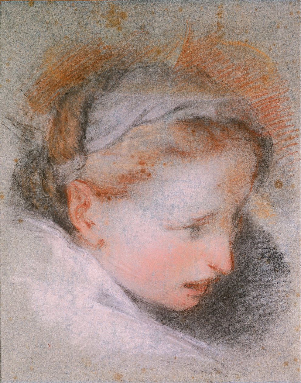 Testa di Donna da Federigo Barocci