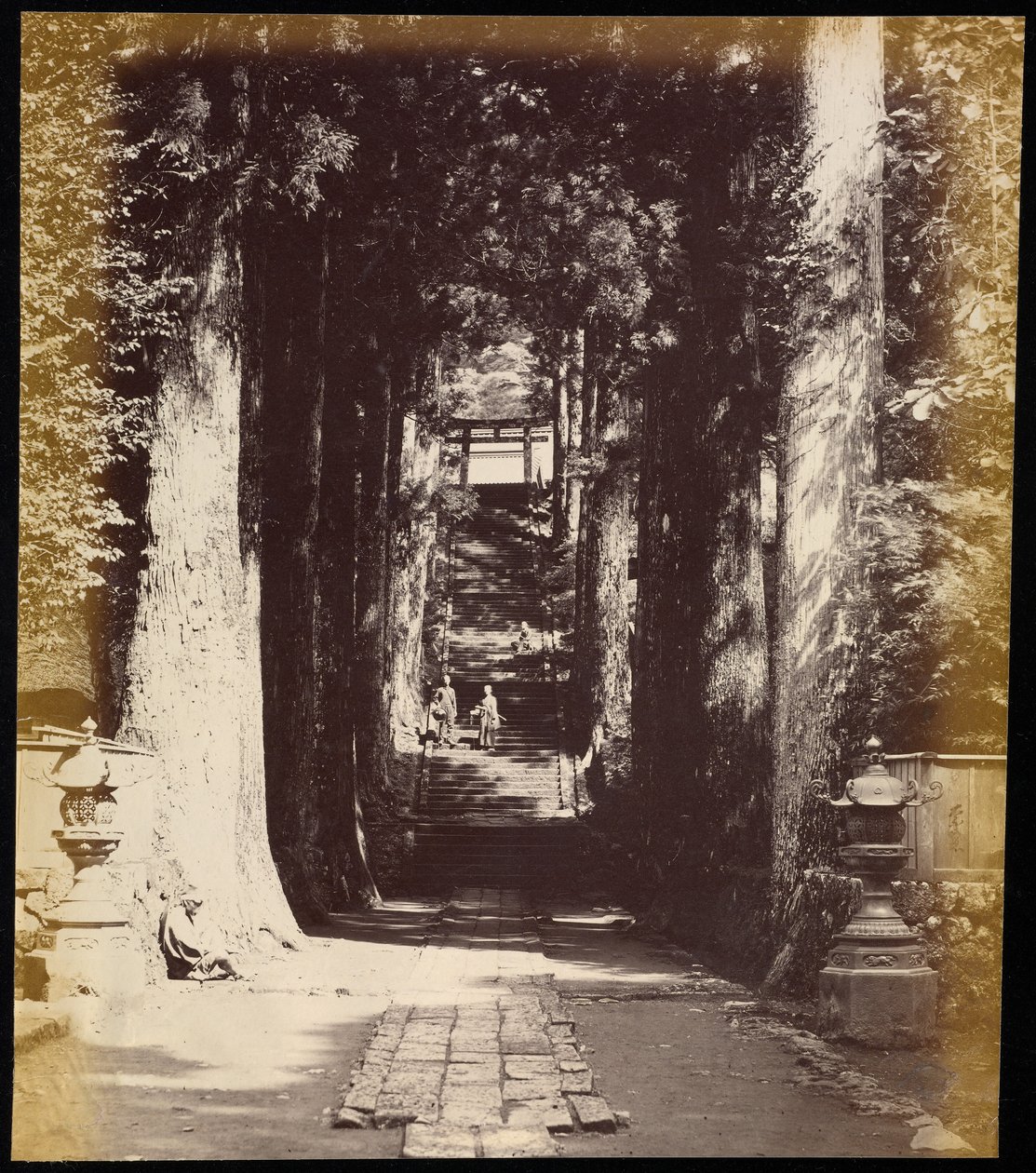 [Viale alberato che conduce a un tempio a Hakoni] da Felice Beato