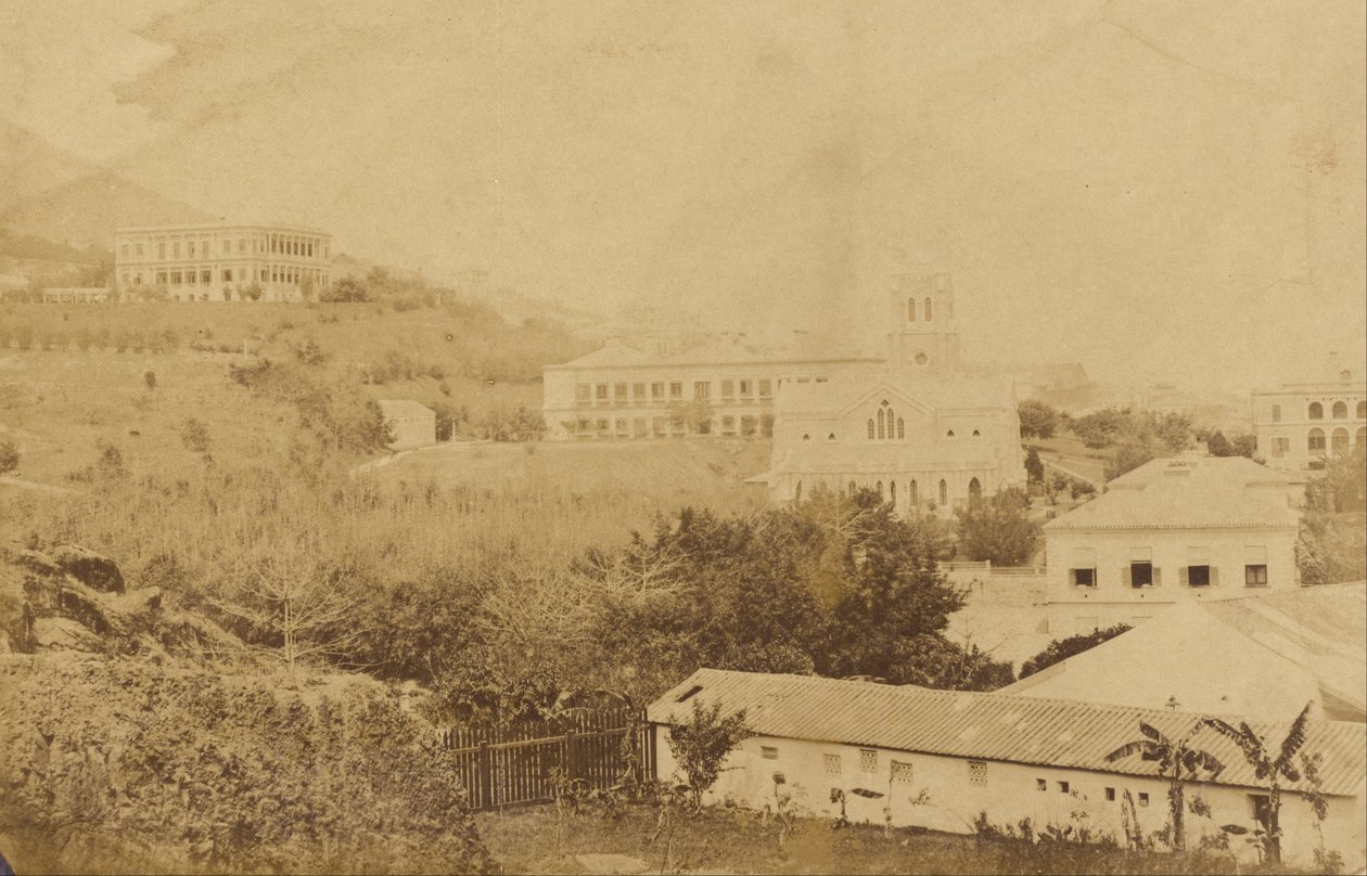 Veduta di Hong Kong da Felice Beato