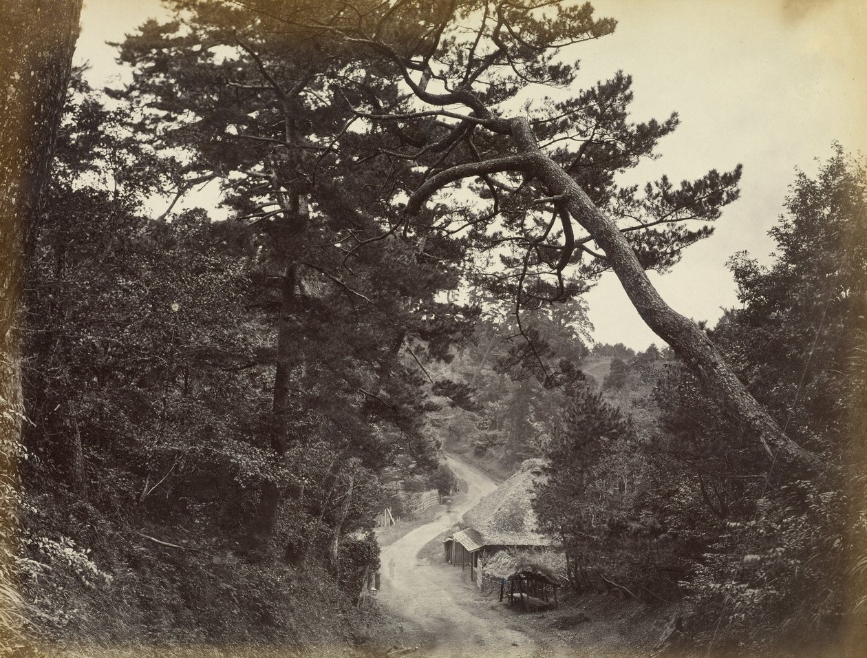 Vista sulla strada di Tokaido da Felice Beato