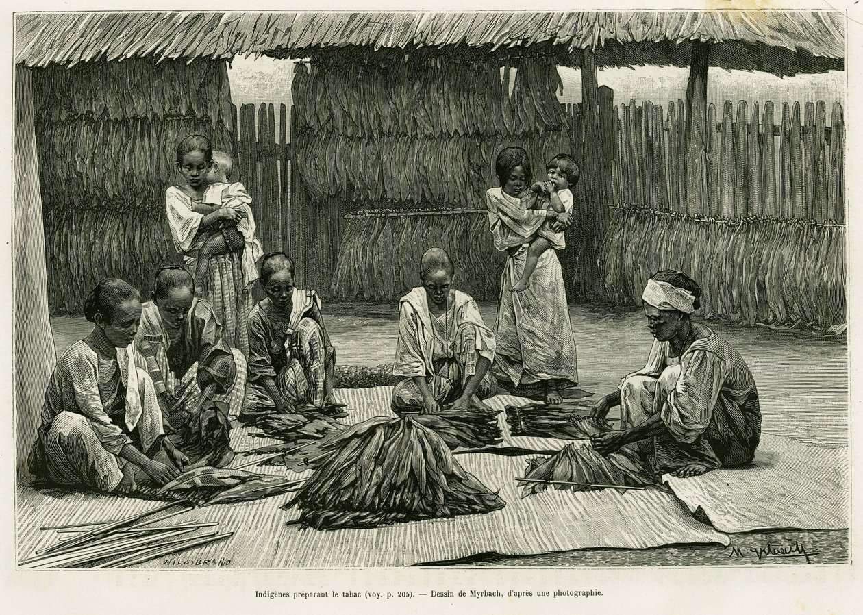 Indigeni che producono tabacco. Incisione di Myrbach per illustrare la storia Lucon e Palaouan, sei anni nelle Filippine, di Alfred Marche (1844-1898), in Le Tour du monde 1886, diretto da Edouard Charton (1807-1890), Hachette, Parigi. da Felicien baron de Myrbach Rheinfeld