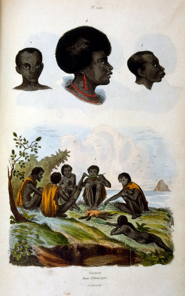 Illustrazione antropologica che raffigura la razza etiope da Felix-Edouard Guerin