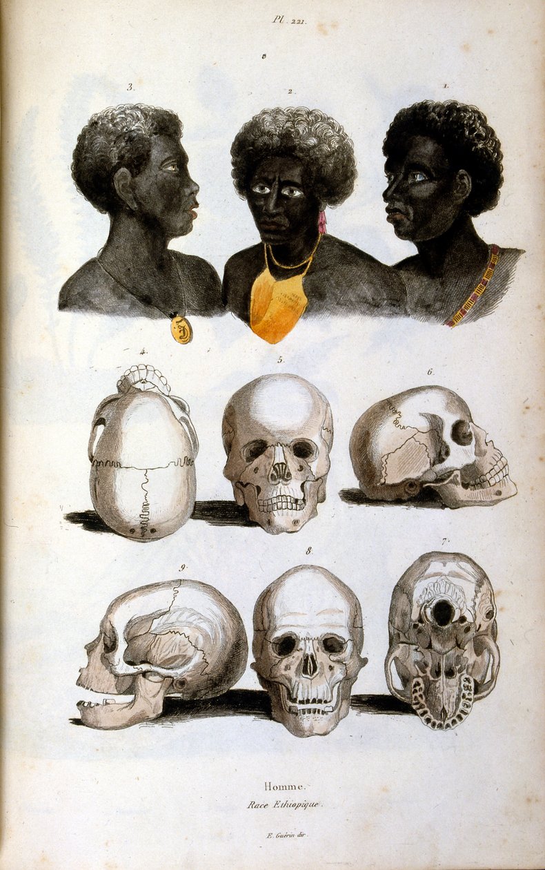 Illustrazione antropologica che raffigura la razza etiope da Felix-Edouard Guerin