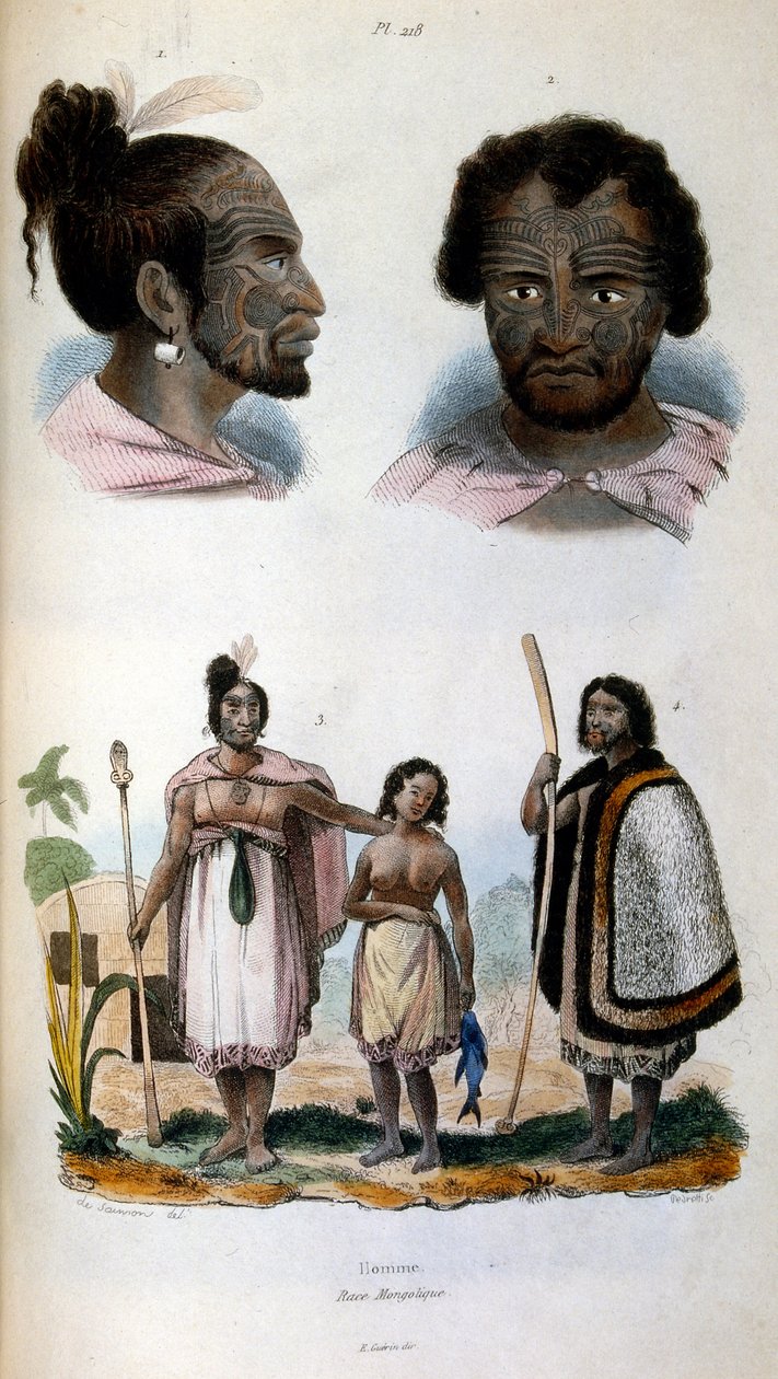Illustrazione antropologica che raffigura la razza Maori da Felix-Edouard Guerin