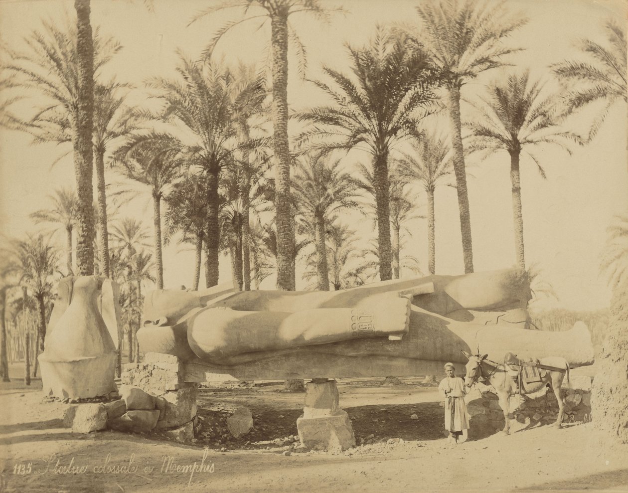 Colossale statua classica a Memphis (Senwosret III) da Félix Bonfils