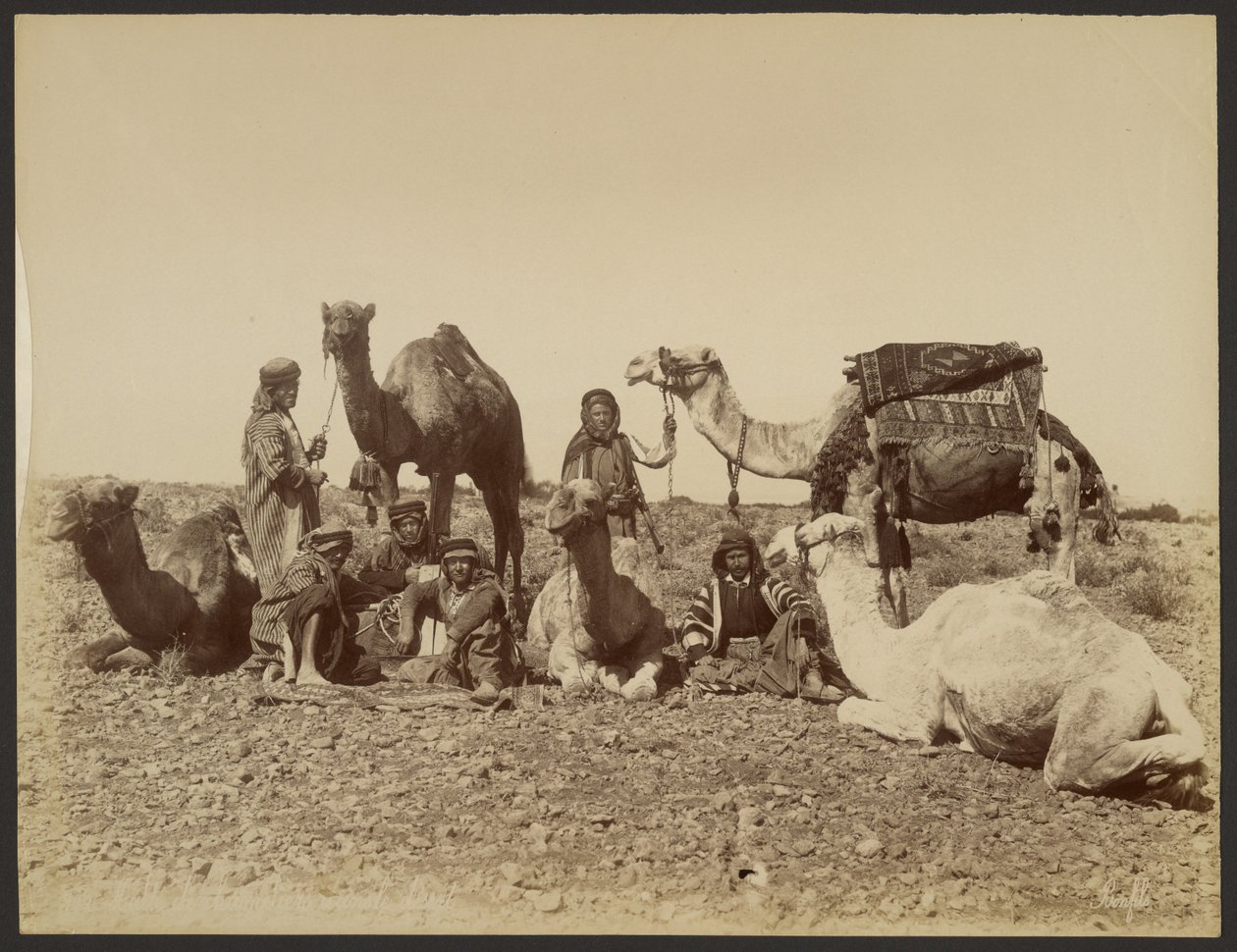 Sosta di cammellieri nel deserto da Félix Bonfils