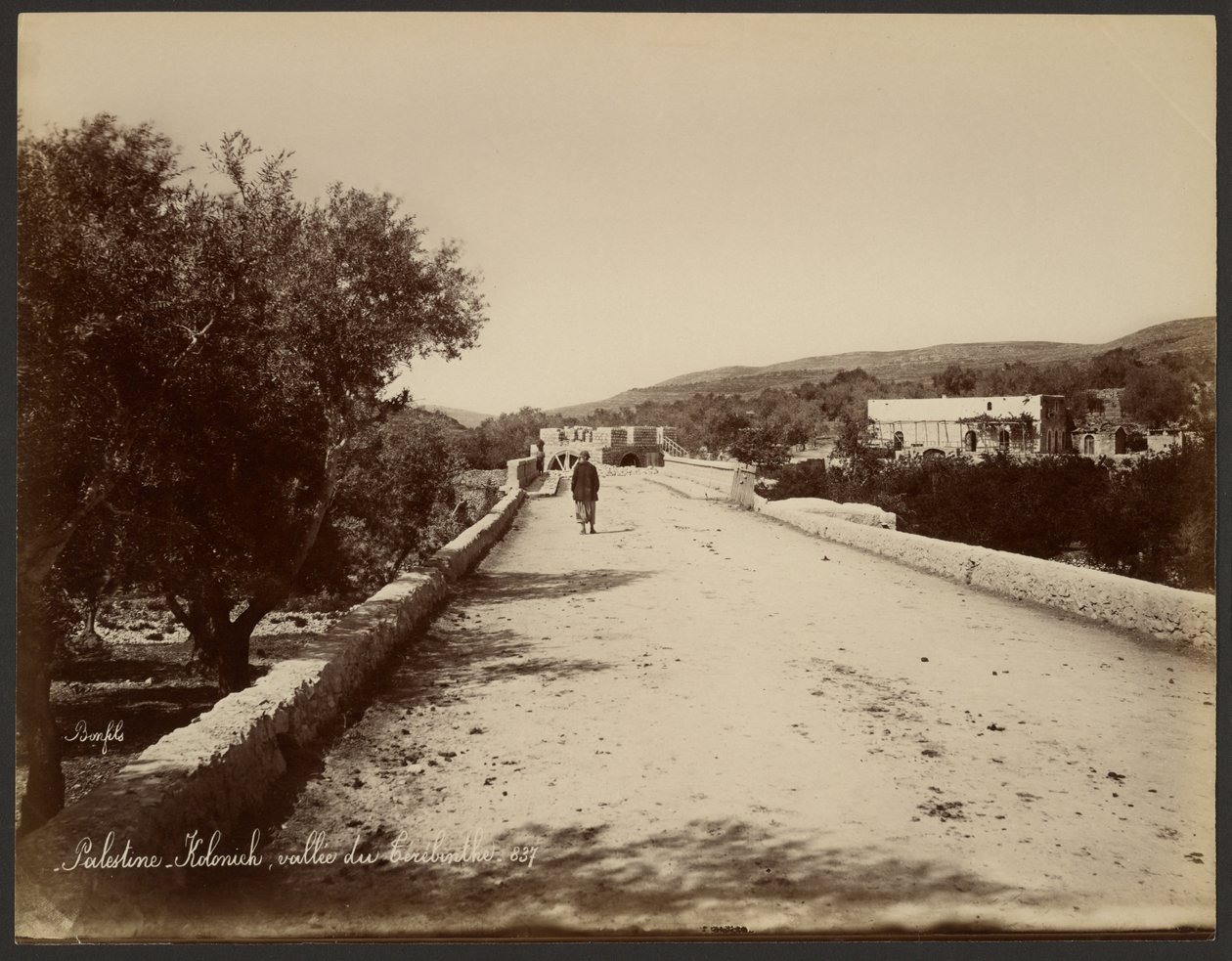 Palestina - Kolonick, Valle del Terebinto da Félix Bonfils