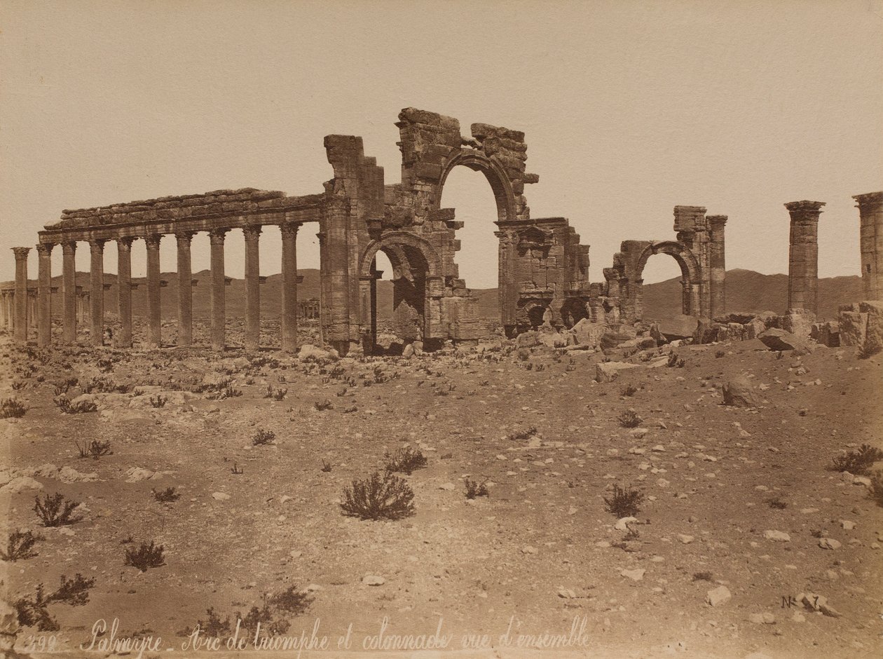 Palmira: veduta generale dell