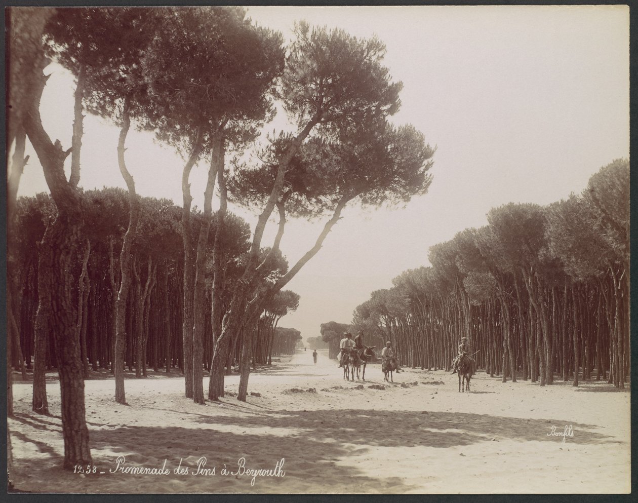 Passeggiata dei Pini a Beirut da Félix Bonfils