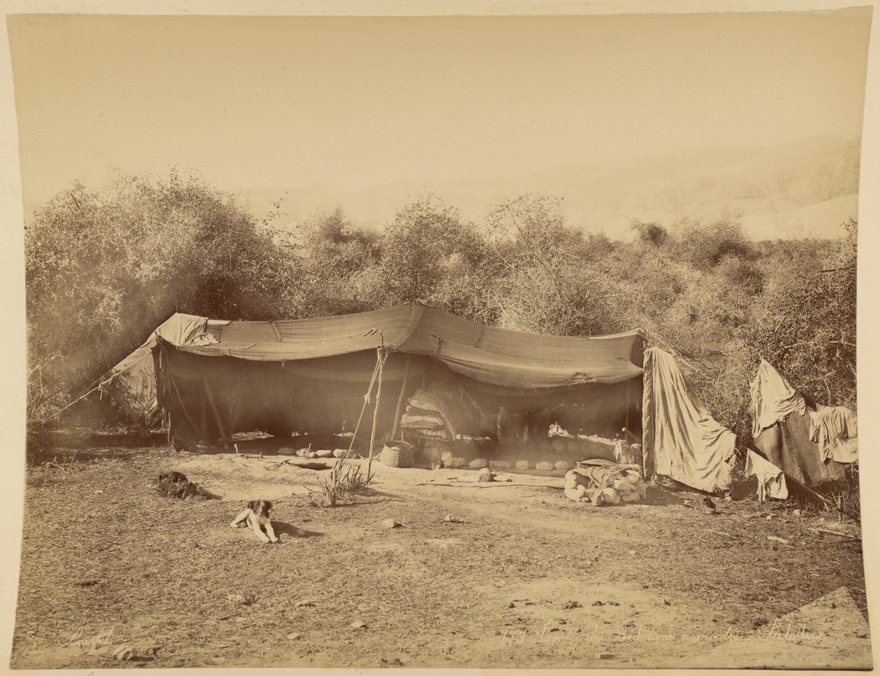 Tenda di beduini nomadi, Palestina da Félix Bonfils