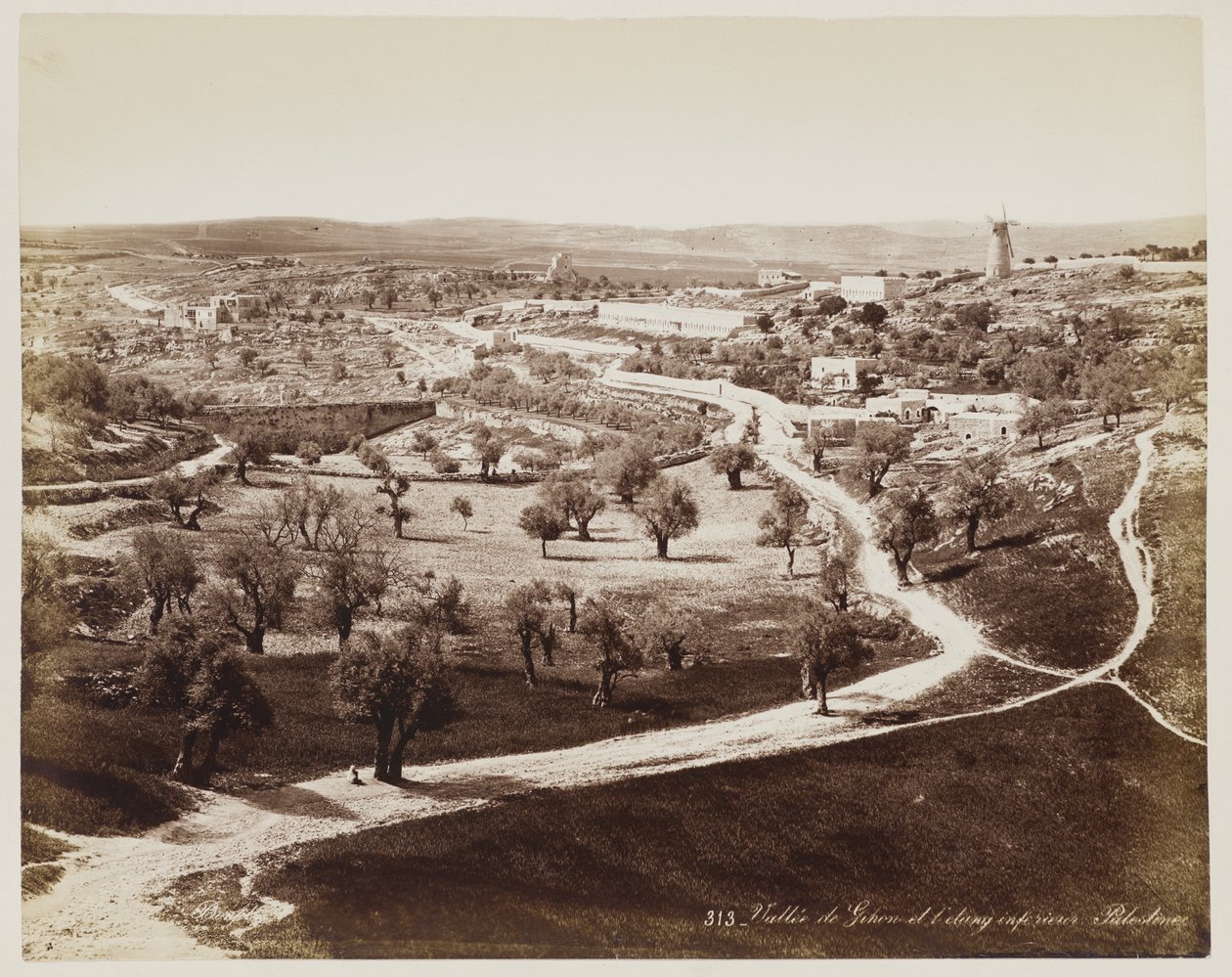 Valle di ... Palestina #313 da Félix Bonfils