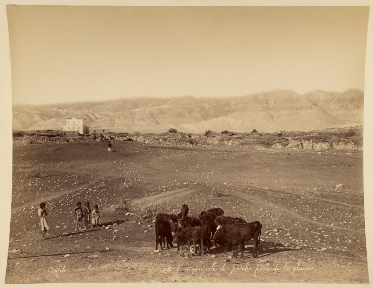 Panorama generale di Gerico visto dalla pianura da Félix Bonfils