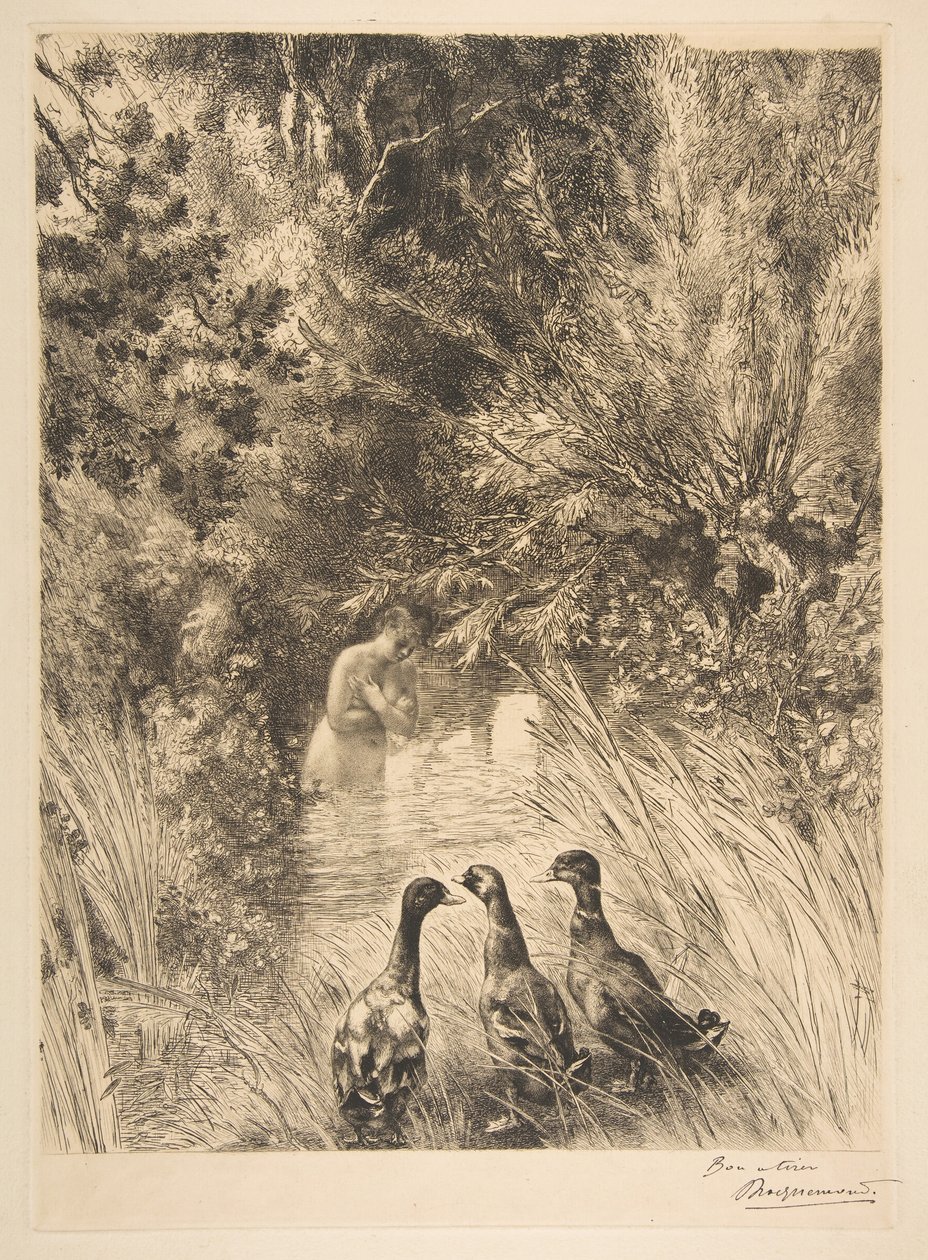 Anatre sorprese da Felix Bracquemond