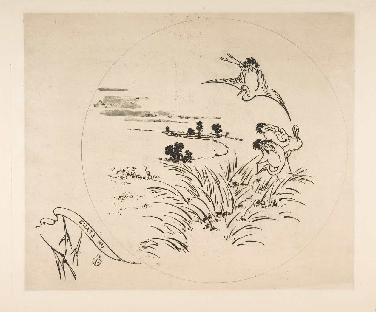 Decorazione per un Piatto: Uno Stagno, 1870 da Felix Bracquemond