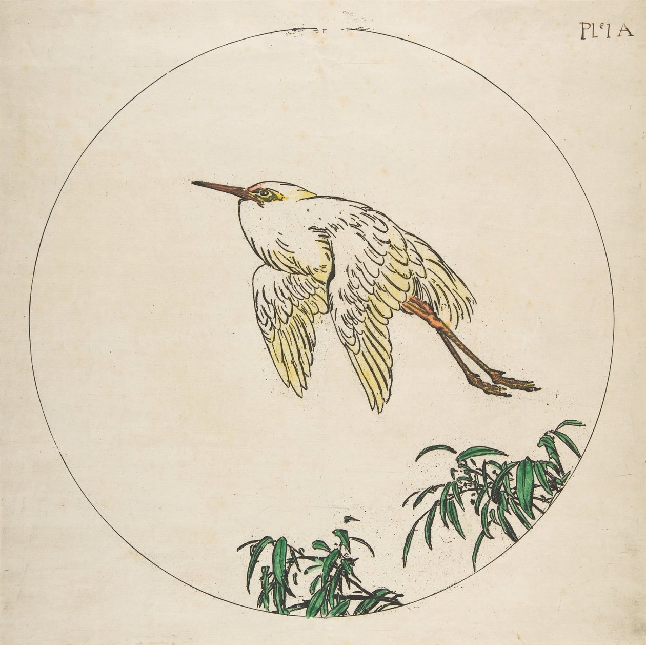 Decorazione per un piatto: un airone che vola sopra rami di bambù, 1850-1914 da Felix Bracquemond