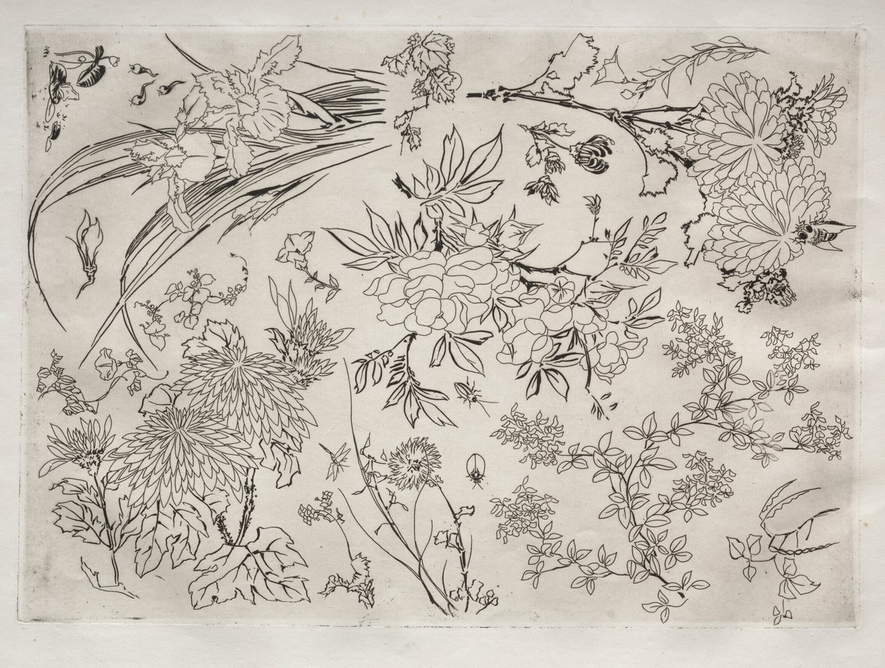 Servizio da tavola (servizio Rousseau): Fiori (n. 23) da Felix Bracquemond