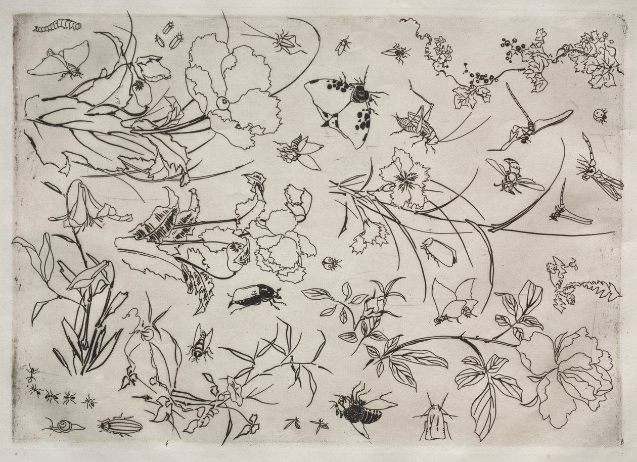 Servizio da tavola (servizio Rousseau): Fiori e insetti (n. 15) da Felix Bracquemond