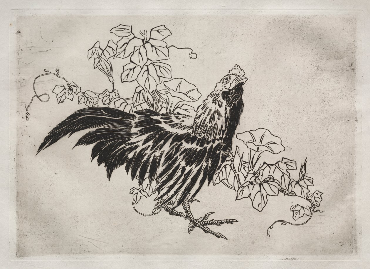 Servizio da tavola (servizio Rousseau): Gallo e gloria mattutina (n. 25) da Felix Bracquemond