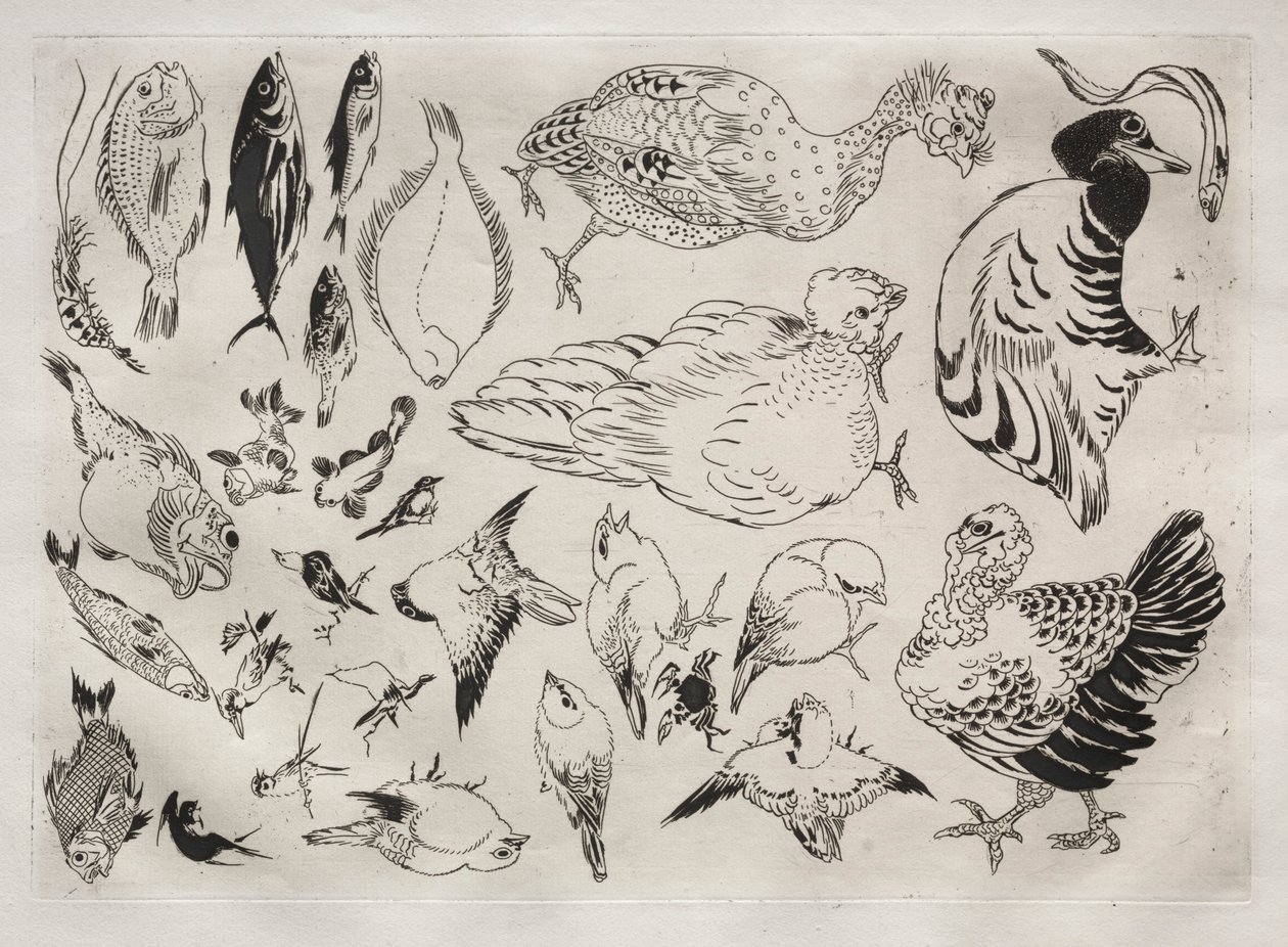 Servizio da cena Rousseau: Anatre, pesci, ecc. n. 12, 1866 da Felix Bracquemond