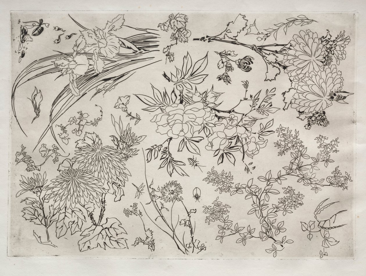 Servizio da tavola Rousseau: Fiori n. 23, 1866 da Felix Bracquemond