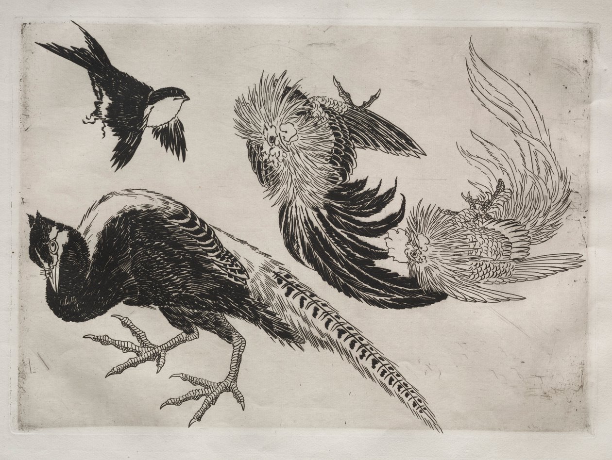Servizio da tavola Rousseau: fagiani e uccello n. 18 da Felix Bracquemond