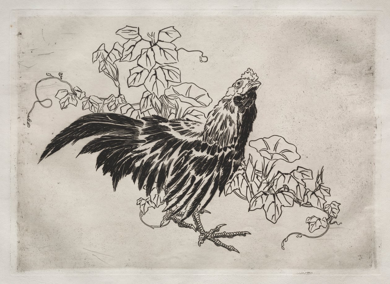 Servizio da tavola Rousseau: Gallo e glorie del mattino n. 25, 1866 da Felix Bracquemond
