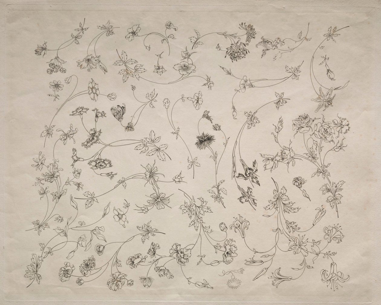 Disegni floreali per piatti e bordi (n. 14) da Felix Bracquemond