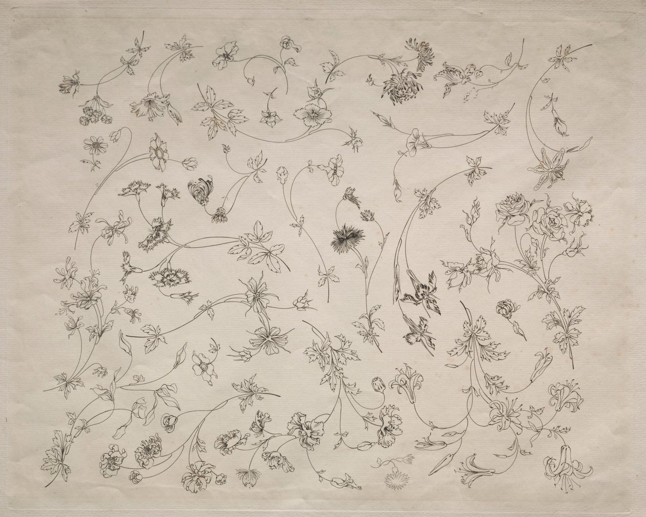 Disegni floreali per piatti e bordi n. 14 da Felix Bracquemond