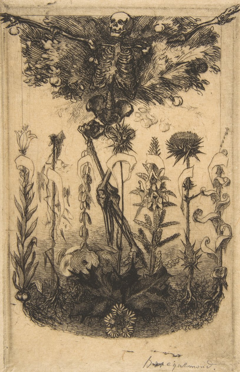 Frontespizio per Les Fleurs du Mal, 1857 da Felix Bracquemond