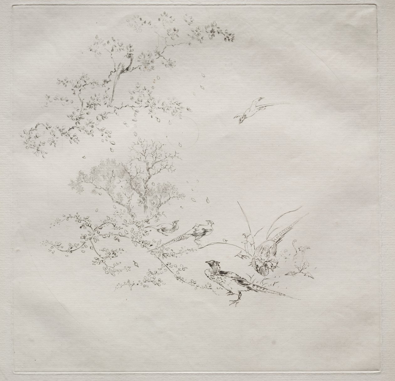 Servizio parigino (servizio Haviland) da Felix Bracquemond