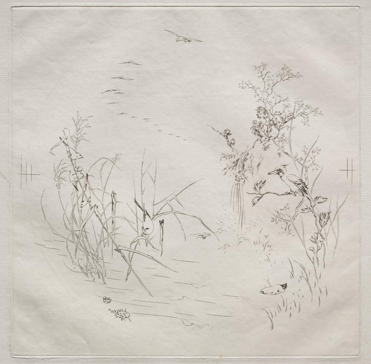 Servizio parigino (servizio Haviland): Calma (n. 3) da Felix Bracquemond
