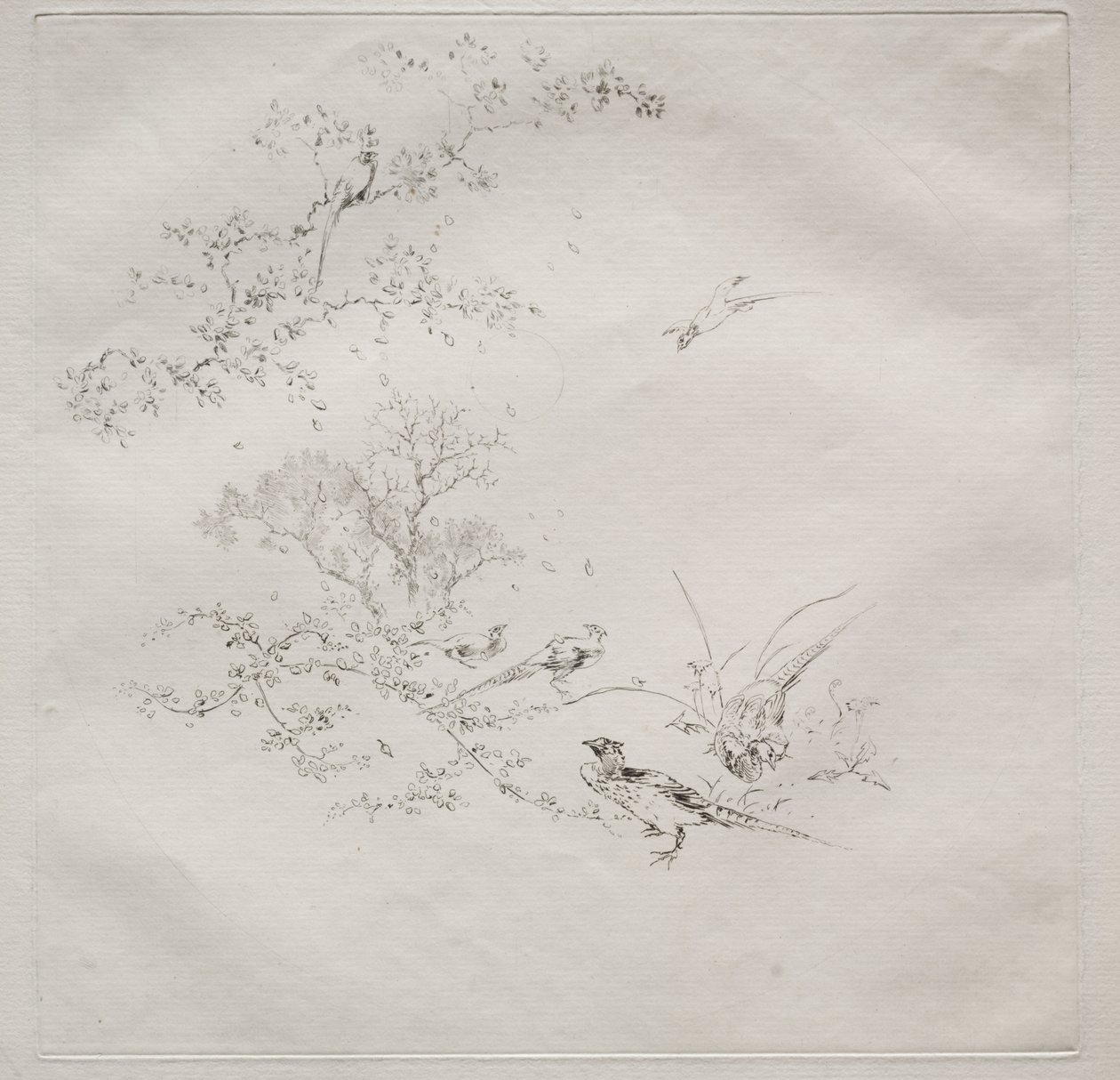 Servizio parigino (servizio Haviland): Nebbia (n. 1) da Felix Bracquemond