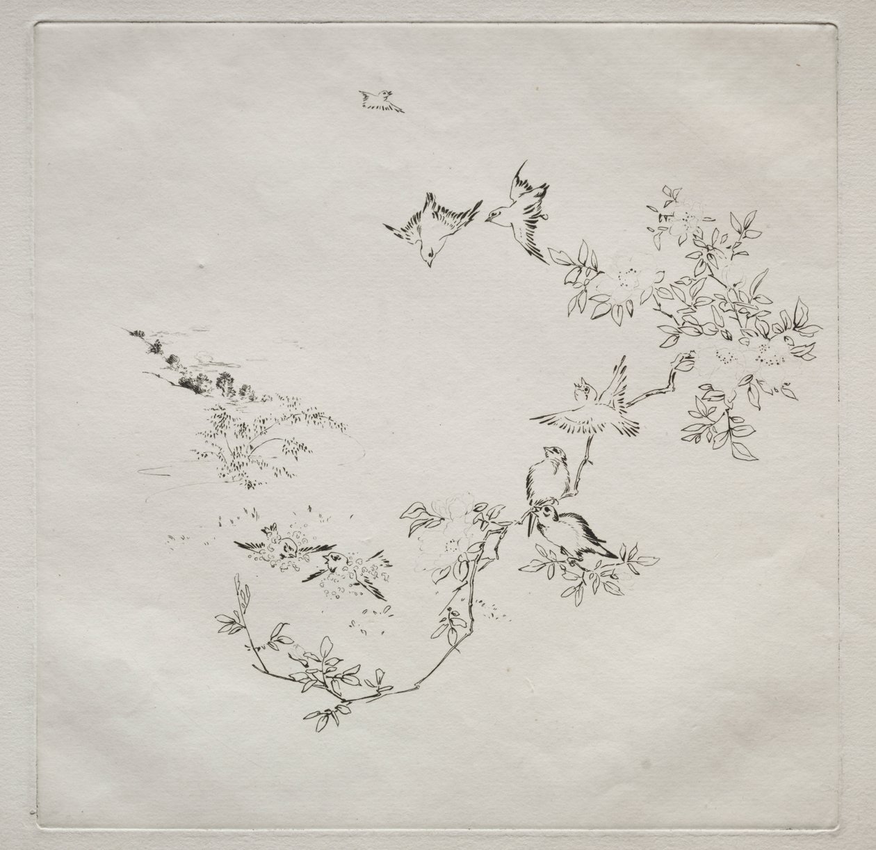 Servizio parigino (servizio Haviland): Alba (n. 12) da Felix Bracquemond