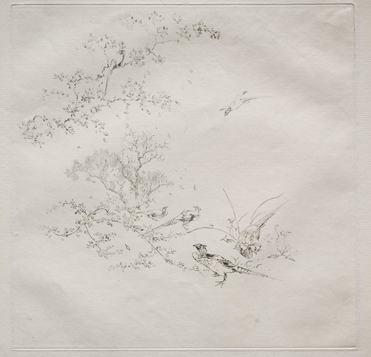 Servizio parigino Haviland: Nebbia n. 1, 1875 da Felix Bracquemond