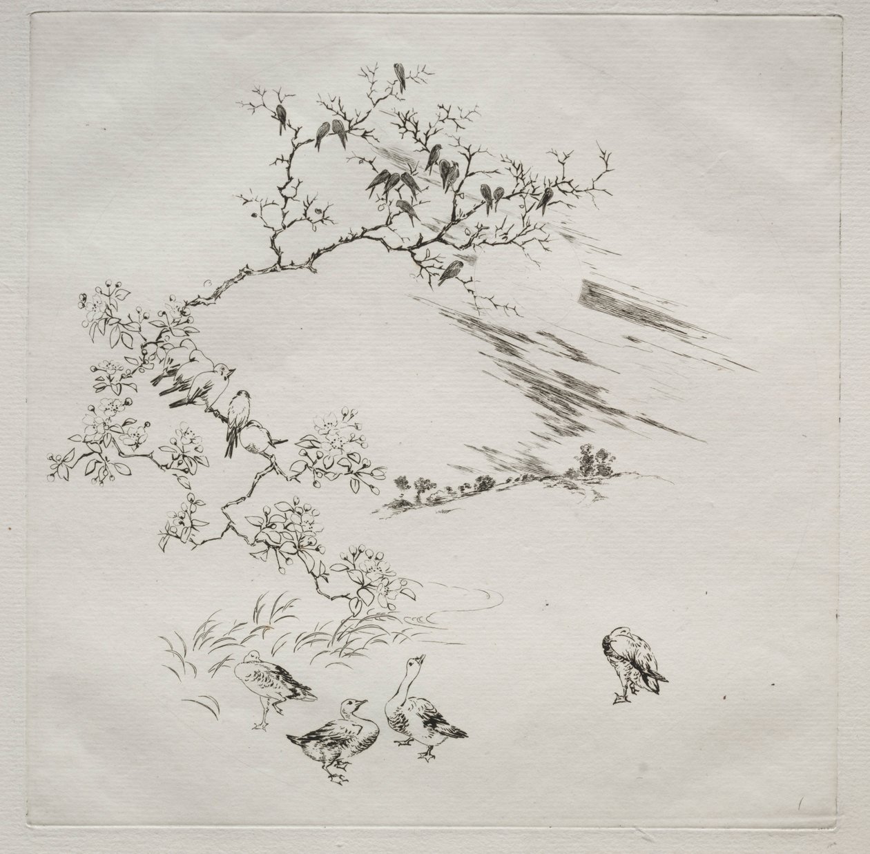 Servizio parigino Haviland: Notte n. 7, 1875 da Felix Bracquemond