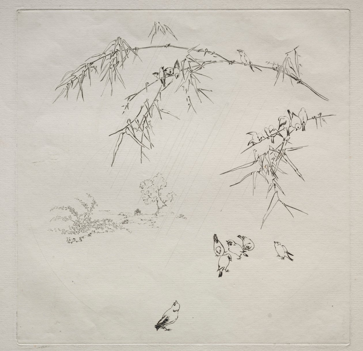 Servizio parigino Haviland: Pioggia n. 10, 1875 da Felix Bracquemond