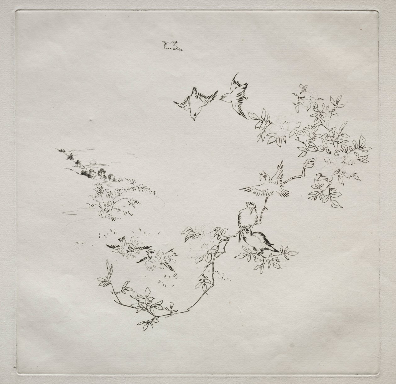Servizio Parigino Haviland: Alba n. 12, 1875 da Felix Bracquemond