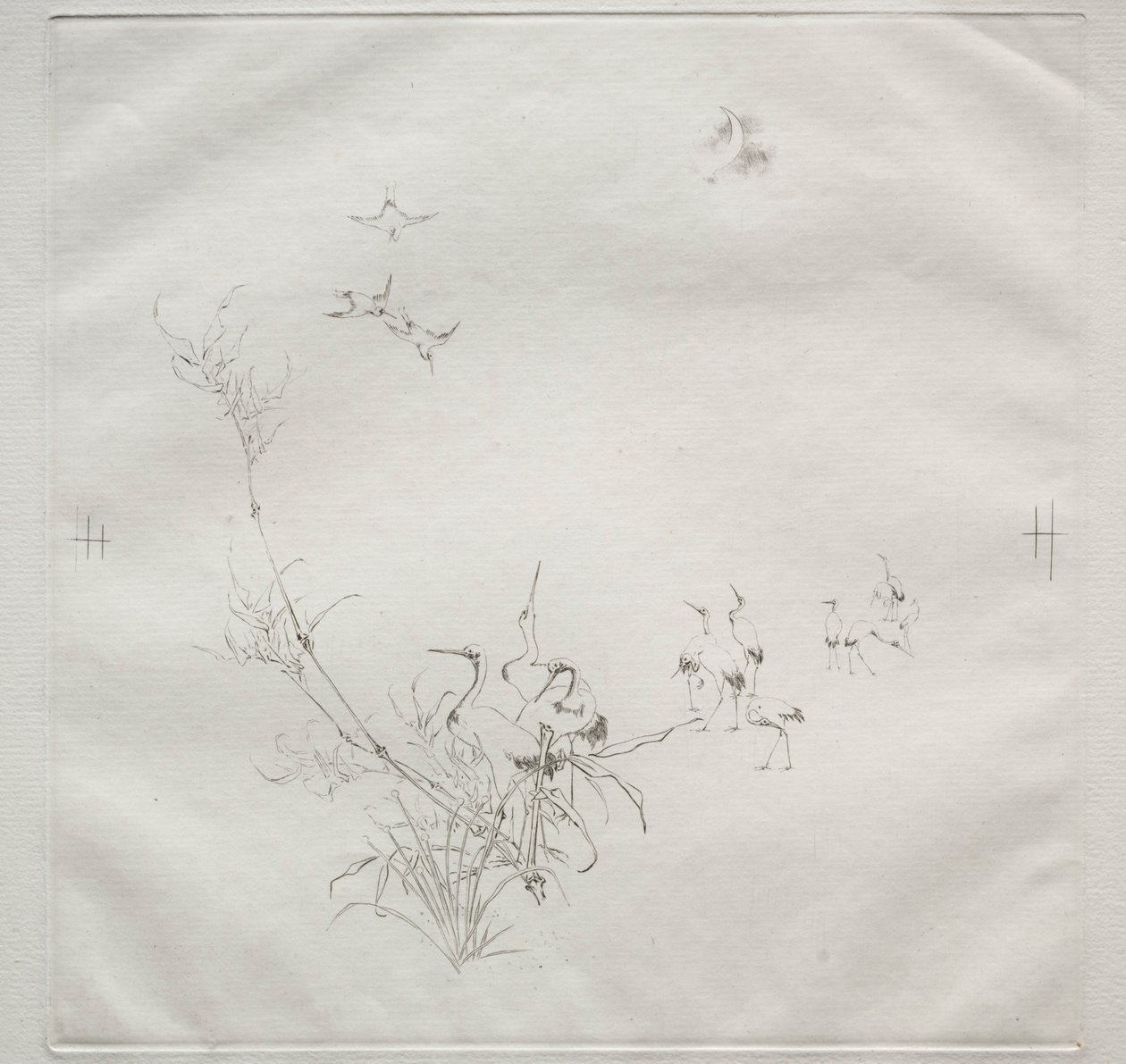 Servizio parigino Haviland: La Luna n. 5, 1875 da Felix Bracquemond