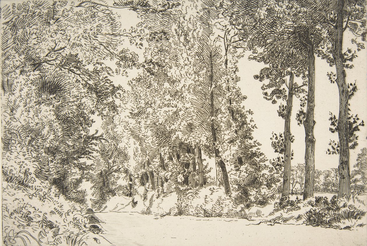 Rue des Bruyères, a Sèvres da Felix Bracquemond