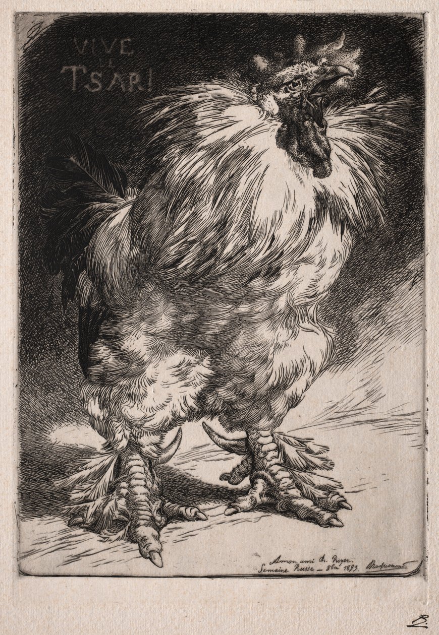 Il gallo francese, 1893 da Felix Bracquemond