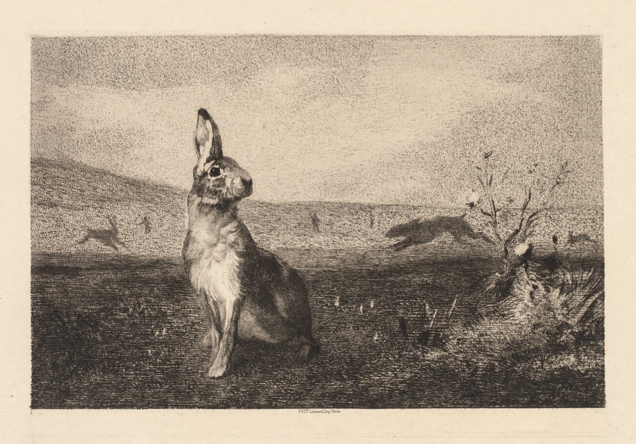 La lepre da Felix Bracquemond