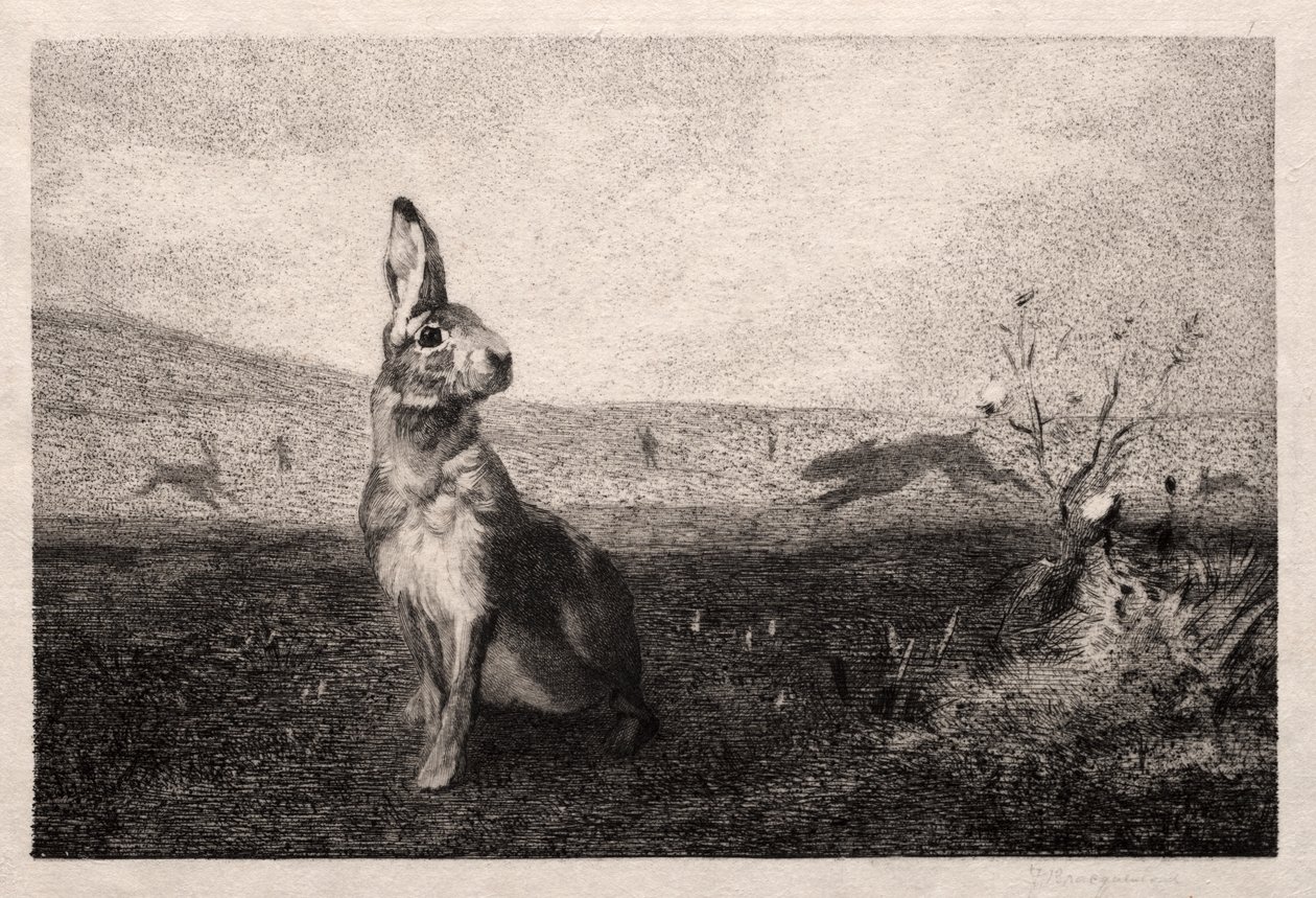 La lepre (dopo A. de Balleroy) da Felix Bracquemond