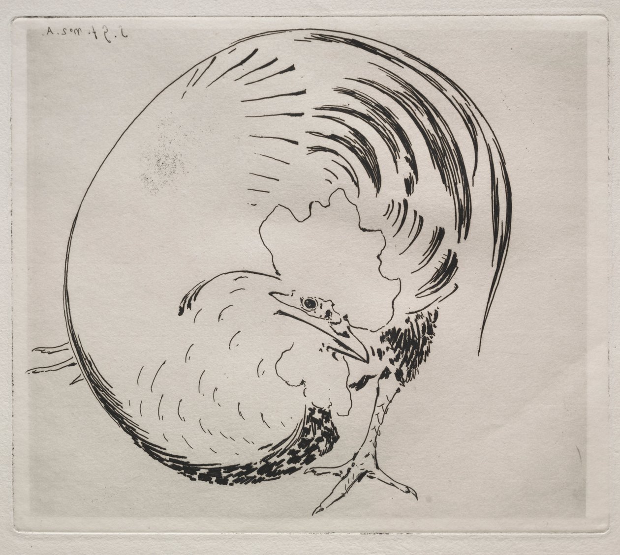 Il servizio ad alta cottura: gallo da Felix Bracquemond
