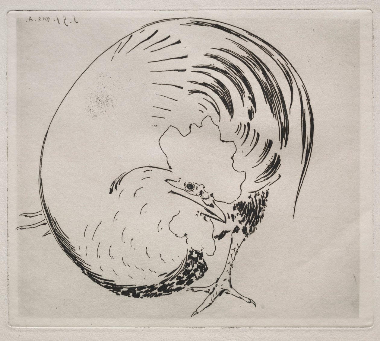 Il servizio ad alta temperatura: Gallo da Felix Bracquemond